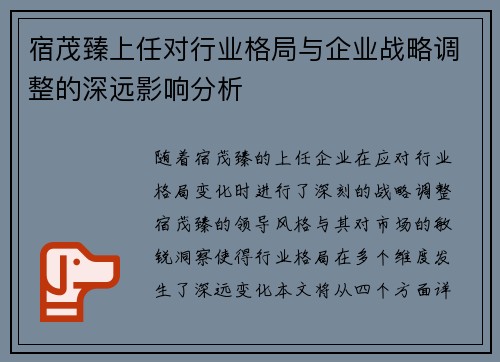 宿茂臻上任对行业格局与企业战略调整的深远影响分析