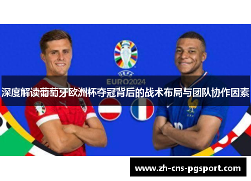 深度解读葡萄牙欧洲杯夺冠背后的战术布局与团队协作因素