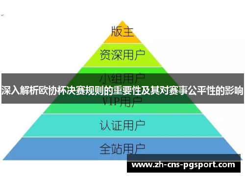 深入解析欧协杯决赛规则的重要性及其对赛事公平性的影响