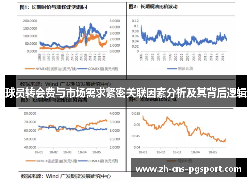 球员转会费与市场需求紧密关联因素分析及其背后逻辑